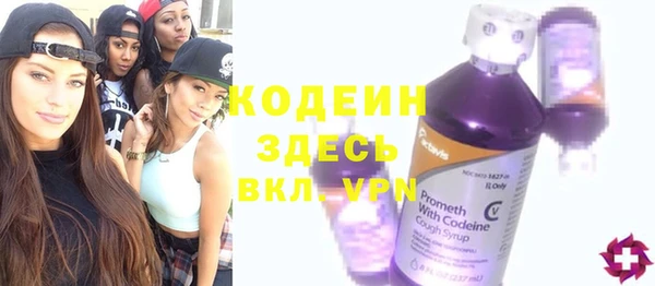 шишки Краснослободск