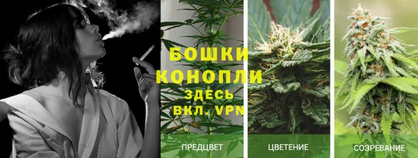 крисы Краснотурьинск