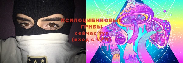 дурь Козельск