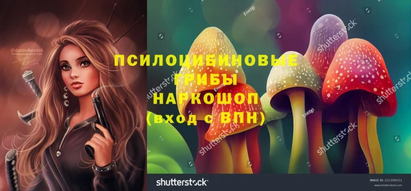 дурь Козельск