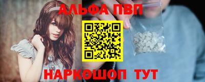 a pvp Кингисепп