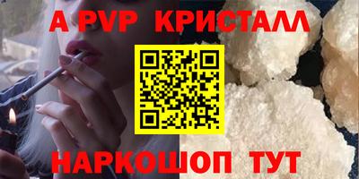 a pvp Кингисепп