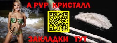 a pvp Кингисепп