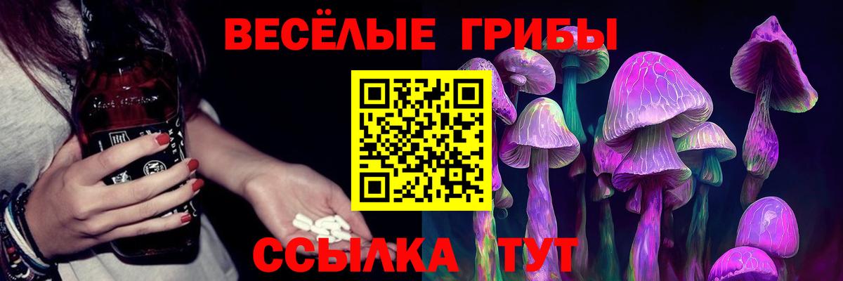 Костомукша  Галлюциногенные грибы прущие грибы  наркота  Вход с VPN 